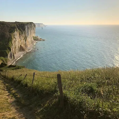 Haven Of Nature Between Forest And Sea In Normandy Tatil Evi Saint-Léonard
