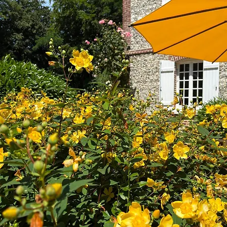Haven Of Nature Between Forest And Sea In Normandy Hébergement de vacances